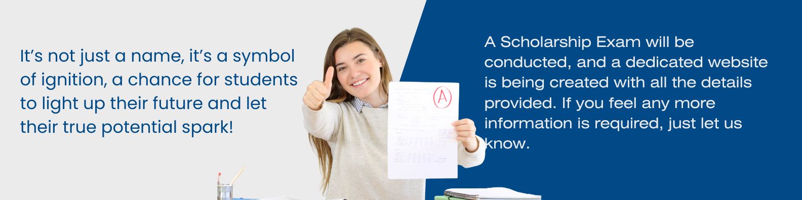 White Blue Professional Website Developer LinkedIn Banner (38)